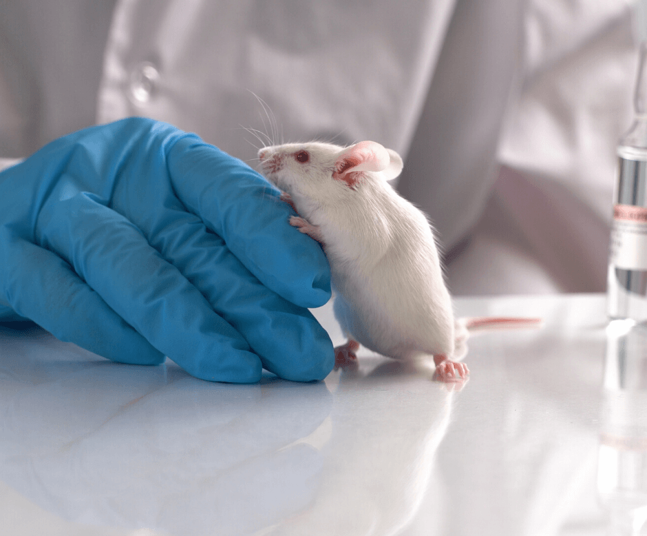 how can animal research help us better understand human development